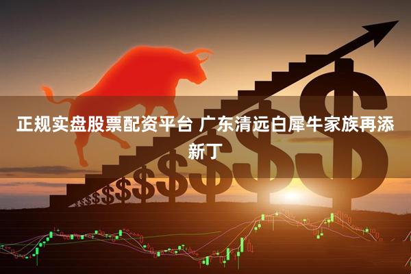 正规实盘股票配资平台 广东清远白犀牛家族再添新丁