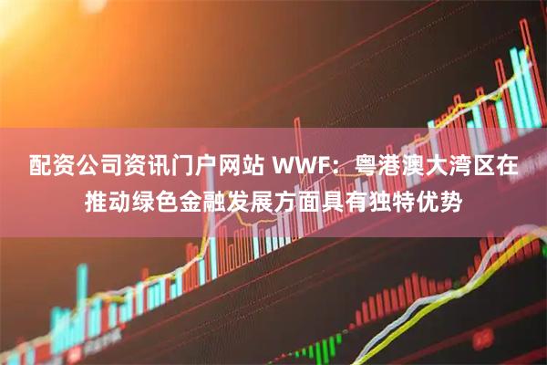配资公司资讯门户网站 WWF：粤港澳大湾区在推动绿色金融发展方面具有独特优势